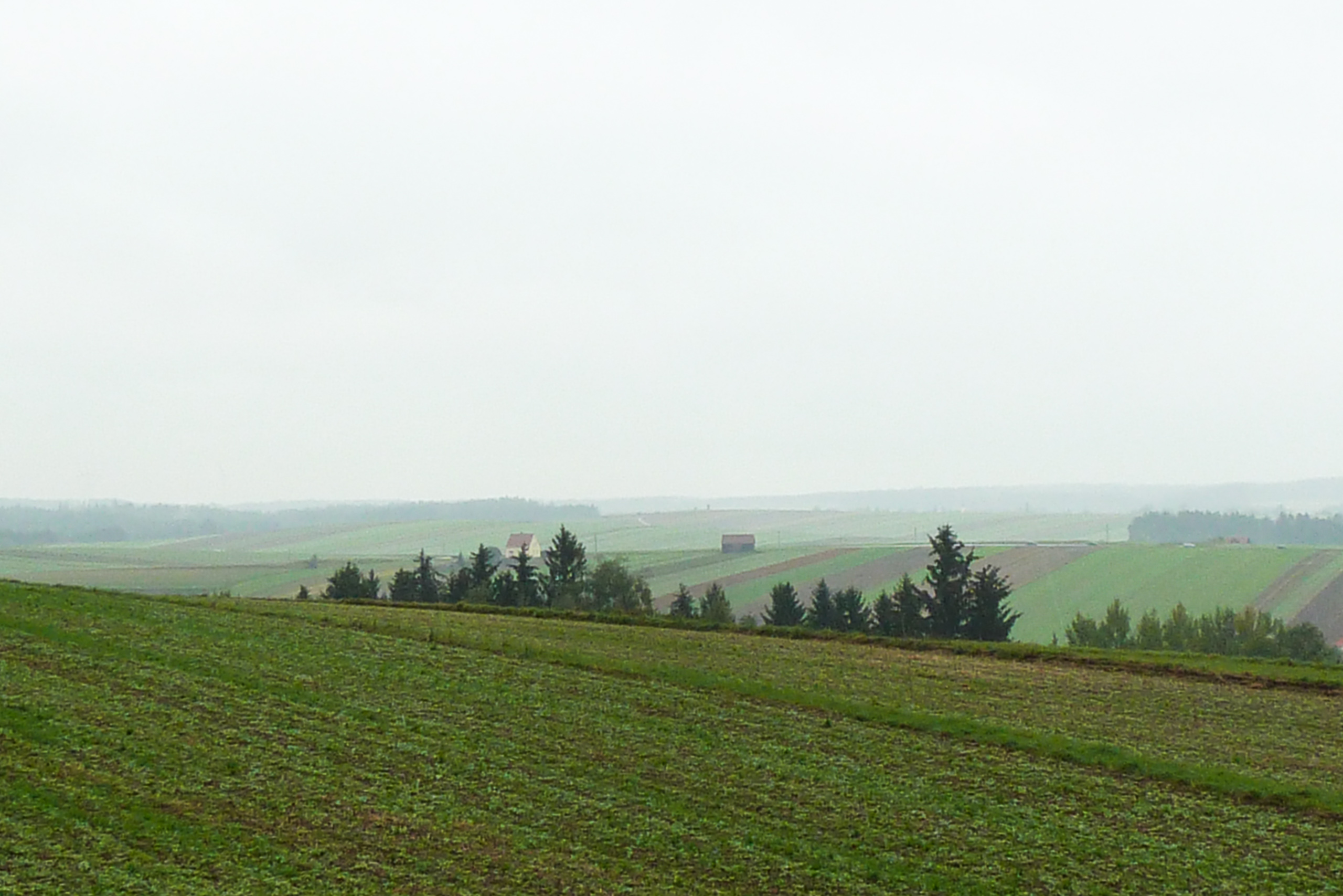 Nebliger Morgen im Waldviertel – Aufbruch aus Zwettl